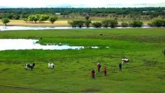内蒙古草原旅游攻略-内蒙古草原旅游线路(图54) 内蒙古草原旅游线路_内蒙古草原旅游攻略_内蒙古攻略草原旅游线路