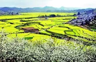 万峰林旅游攻略自驾游-徒步万峰林(图11) 徒步万峰林_万峰林旅游攻略自驾游_游万峰林需要多少时间