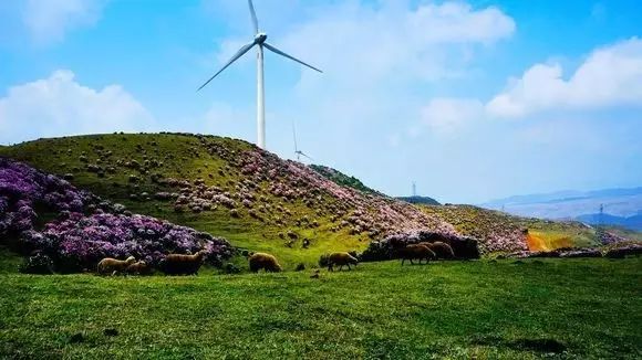 万峰林旅游攻略自驾游-徒步万峰林(图17) 游万峰林需要多少时间_万峰林旅游攻略自驾游_徒步万峰林