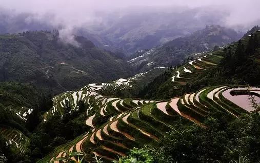 万峰林旅游攻略自驾游-徒步万峰林(图25) 游万峰林需要多少时间_徒步万峰林_万峰林旅游攻略自驾游
