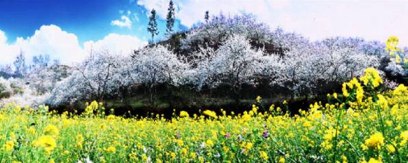 万峰林旅游攻略自驾游-徒步万峰林(图28) 游万峰林需要多少时间_万峰林旅游攻略自驾游_徒步万峰林