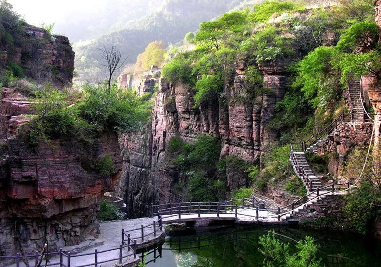 王莽岭景色_王莽岭景区视频_王莽岭旅游攻略