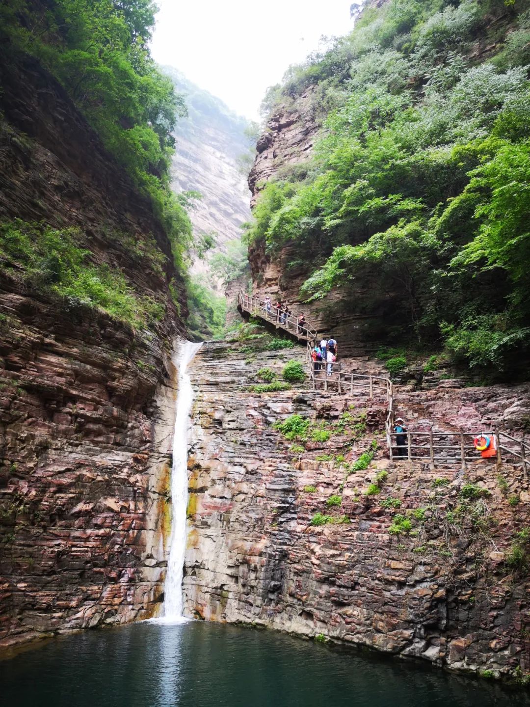 王莽岭景区视频_王莽岭旅游攻略_王莽岭景色