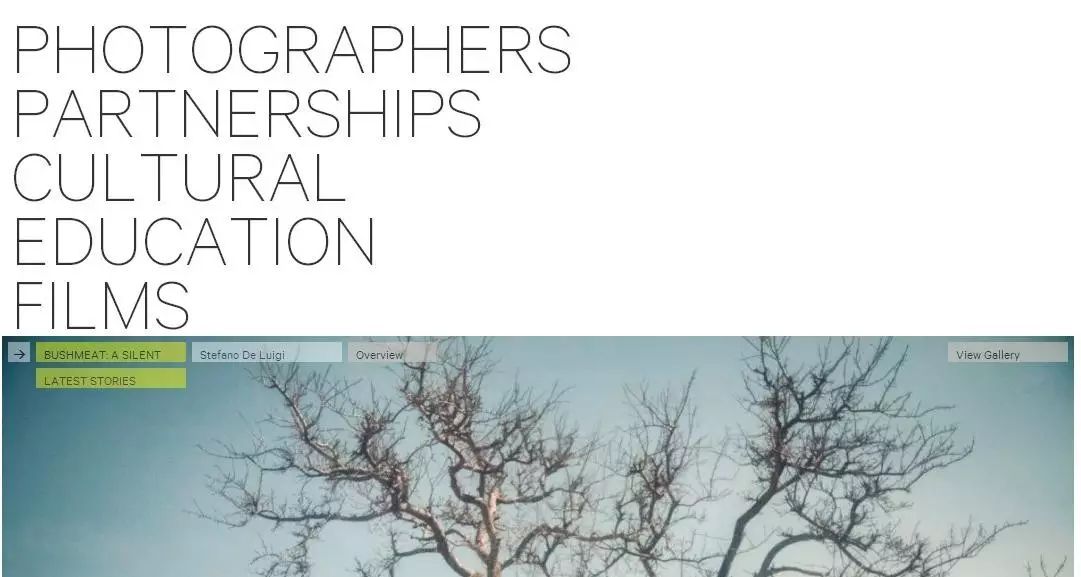 北京纽约纽约时尚婚纱摄影怎么样-纽约时尚精品婚纱摄影(图23) 纽约时尚精品婚纱摄影_北京纽约纽约婚纱摄影_北京纽约纽约时尚婚纱摄影怎么样