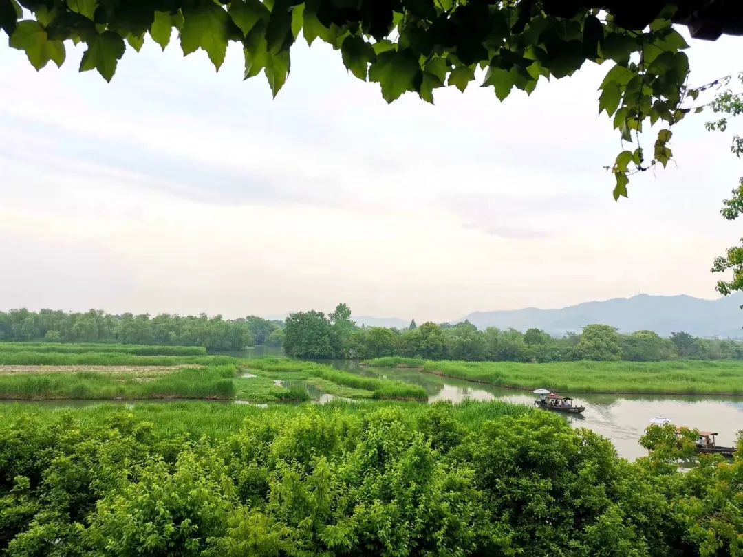 西溪湿地西区旅游攻略-西溪湿地旅游景区(图22) 西溪湿地西区旅游攻略_西溪湿地游览路线_西溪湿地旅游景区