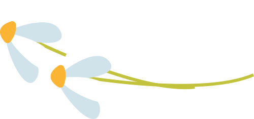 西溪湿地西区旅游攻略-西溪湿地旅游景区(图32) 西溪湿地西区旅游攻略_西溪湿地游览路线_西溪湿地旅游景区