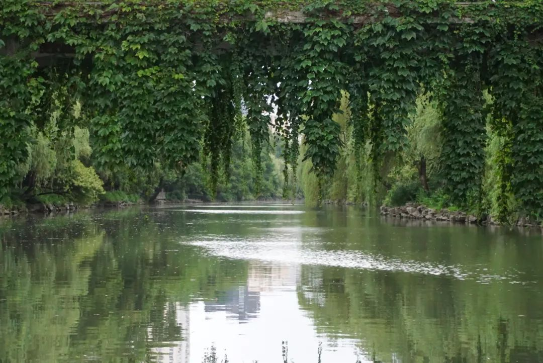 西溪湿地西区旅游攻略-西溪湿地旅游景区(图34) 西溪湿地西区旅游攻略_西溪湿地游览路线_西溪湿地旅游景区
