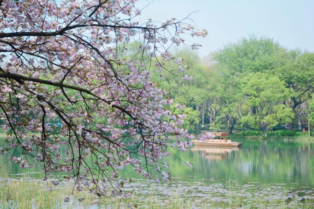 西溪湿地西区旅游攻略-西溪湿地旅游景区(图4) 西溪湿地旅游景区_西溪湿地西区旅游攻略_西溪湿地游览路线