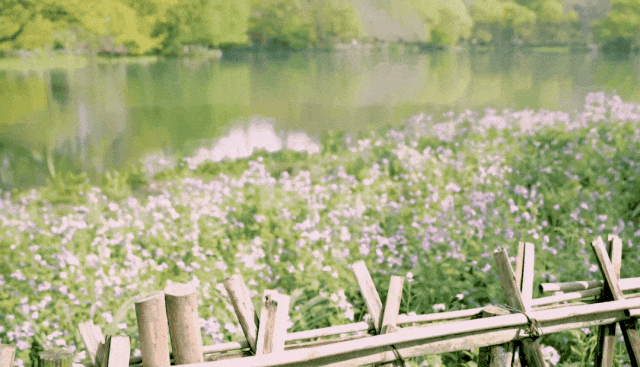 西溪湿地西区旅游攻略-西溪湿地旅游景区(图5) 西溪湿地游览路线_西溪湿地旅游景区_西溪湿地西区旅游攻略