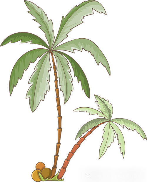 马尔代夫旅游攻略 注意事项-马尔代夫旅游流程(图114) 马尔代夫旅游攻略大概多少钱_马尔代夫旅游攻略 注意事项_马尔代夫旅游流程