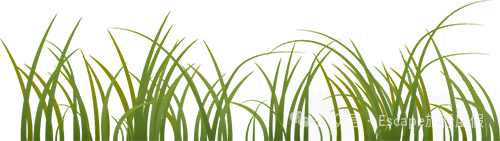 马尔代夫旅游攻略 注意事项-马尔代夫旅游流程(图116) 马尔代夫旅游流程_马尔代夫旅游攻略大概多少钱_马尔代夫旅游攻略 注意事项