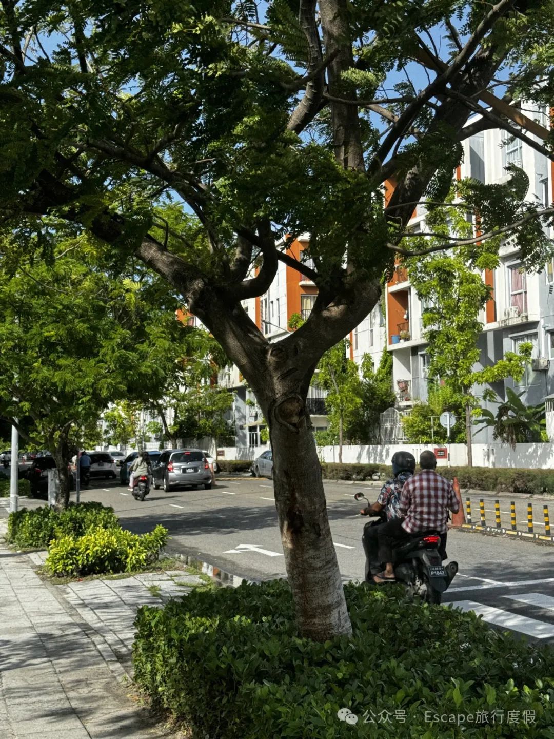 马尔代夫旅游攻略 注意事项-马尔代夫旅游流程(图19) 马尔代夫旅游攻略 注意事项_马尔代夫旅游流程_马尔代夫旅游攻略大概多少钱