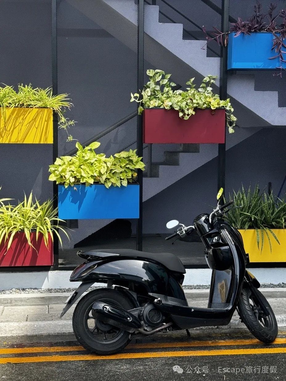 马尔代夫旅游攻略 注意事项-马尔代夫旅游流程(图22) 马尔代夫旅游攻略 注意事项_马尔代夫旅游攻略大概多少钱_马尔代夫旅游流程