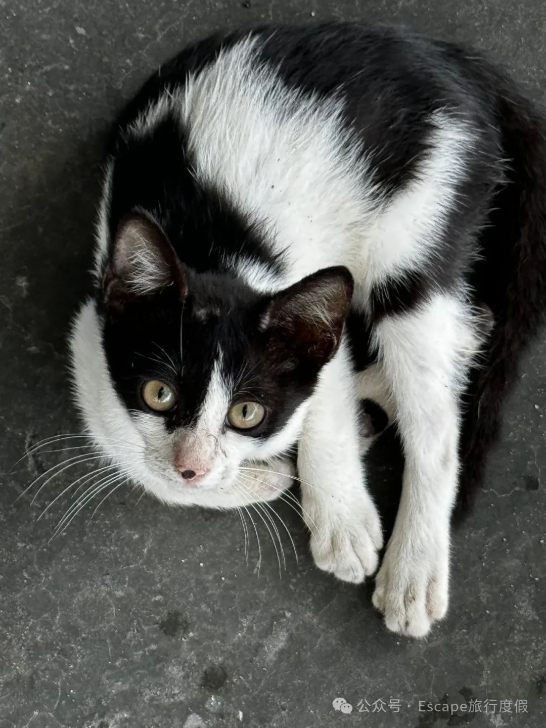 马尔代夫旅游攻略 注意事项-马尔代夫旅游流程(图30) 马尔代夫旅游攻略大概多少钱_马尔代夫旅游攻略 注意事项_马尔代夫旅游流程