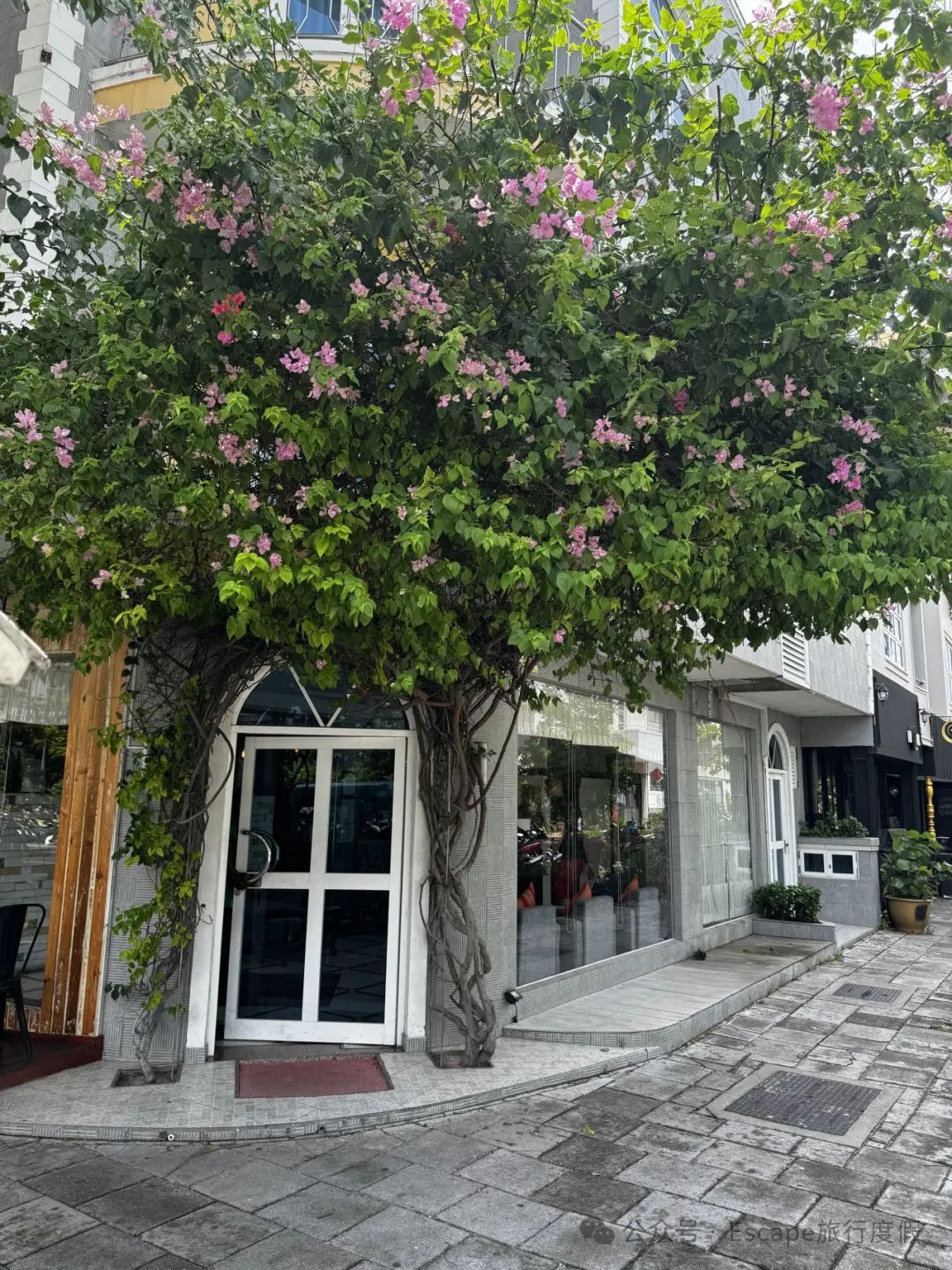 马尔代夫旅游攻略 注意事项-马尔代夫旅游流程(图33) 马尔代夫旅游攻略大概多少钱_马尔代夫旅游攻略 注意事项_马尔代夫旅游流程