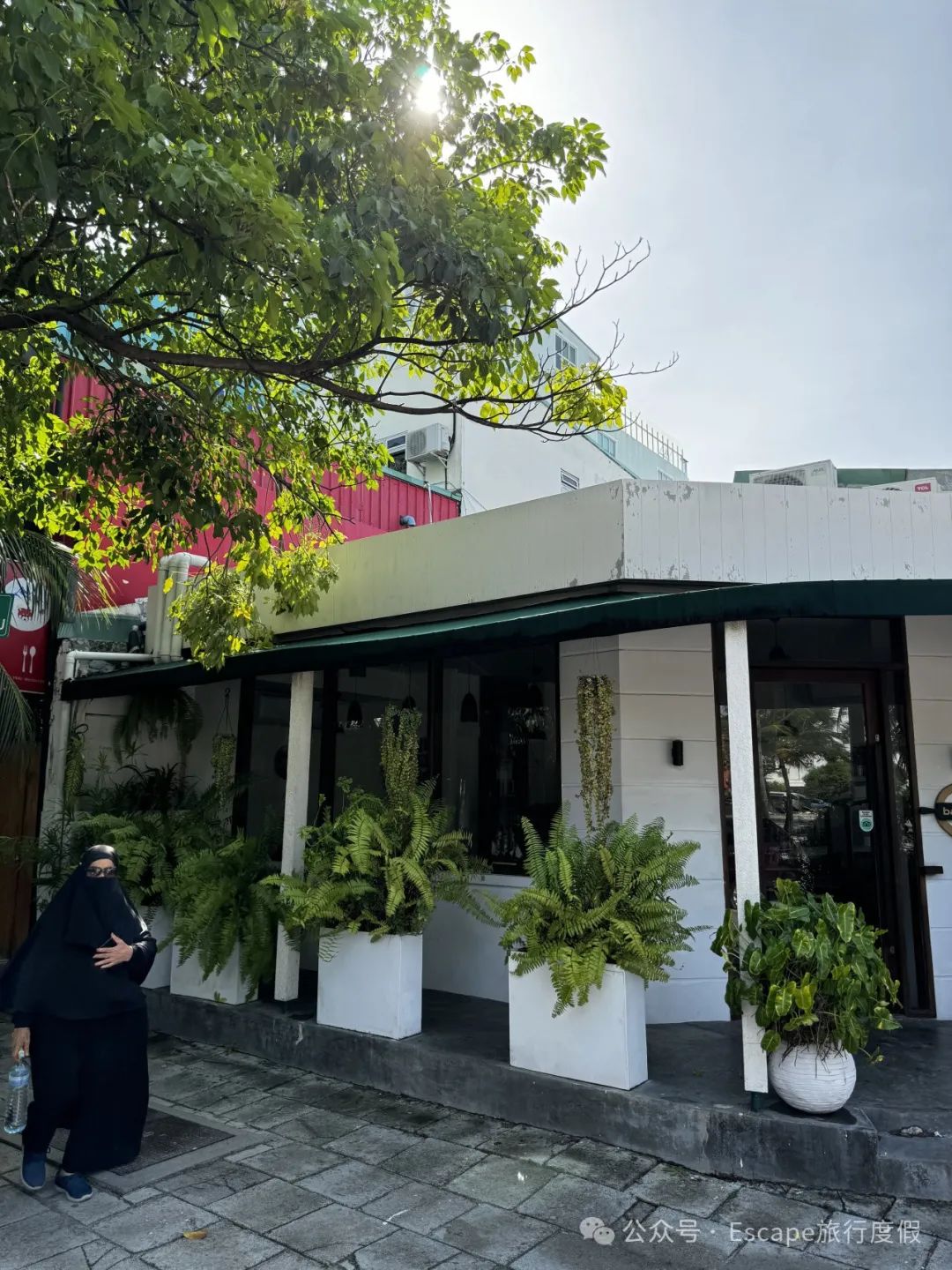 马尔代夫旅游攻略 注意事项-马尔代夫旅游流程(图5) 马尔代夫旅游攻略大概多少钱_马尔代夫旅游流程_马尔代夫旅游攻略 注意事项