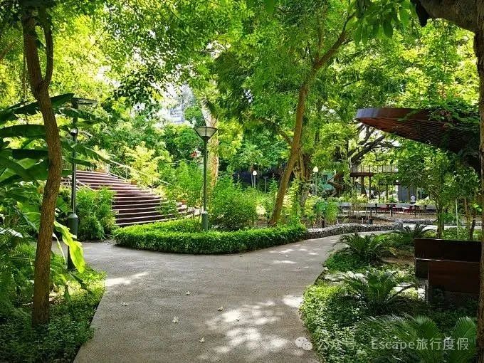 马尔代夫旅游攻略 注意事项-马尔代夫旅游流程(图80) 马尔代夫旅游流程_马尔代夫旅游攻略大概多少钱_马尔代夫旅游攻略 注意事项