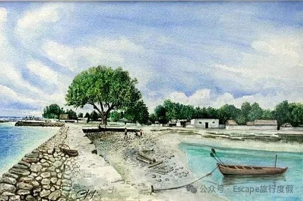 马尔代夫旅游攻略 注意事项-马尔代夫旅游流程(图86) 马尔代夫旅游攻略大概多少钱_马尔代夫旅游攻略 注意事项_马尔代夫旅游流程