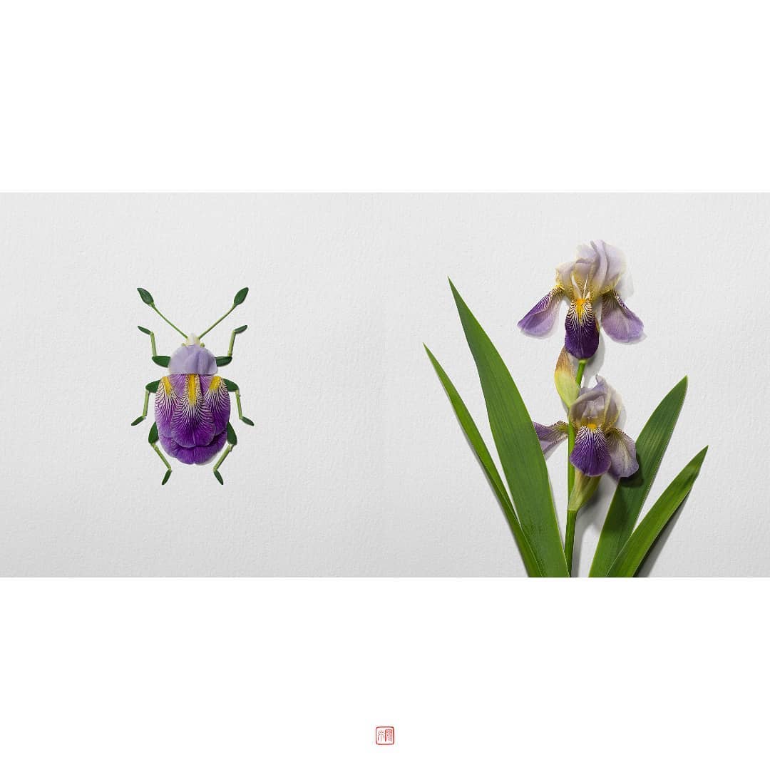 酒标设计素材_酒标设计模板_时尚酒标设计