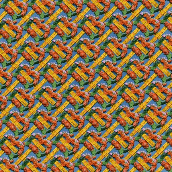 时尚酒标设计_酒标设计模板_酒标设计素材