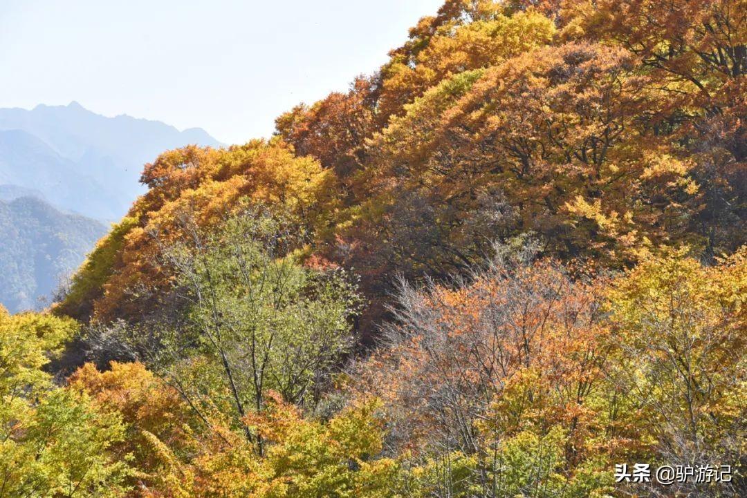 神农架武当山旅游攻略-湖北神农架武当山旅游攻略