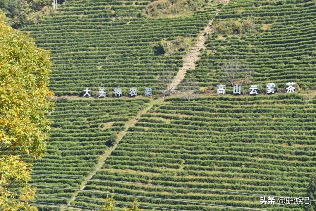 神农架武当山旅游攻略-湖北神农架武当山旅游攻略(图12) 神农架武当山旅游攻略_湖北神农架武当山旅游攻略_武当山神农架四日游