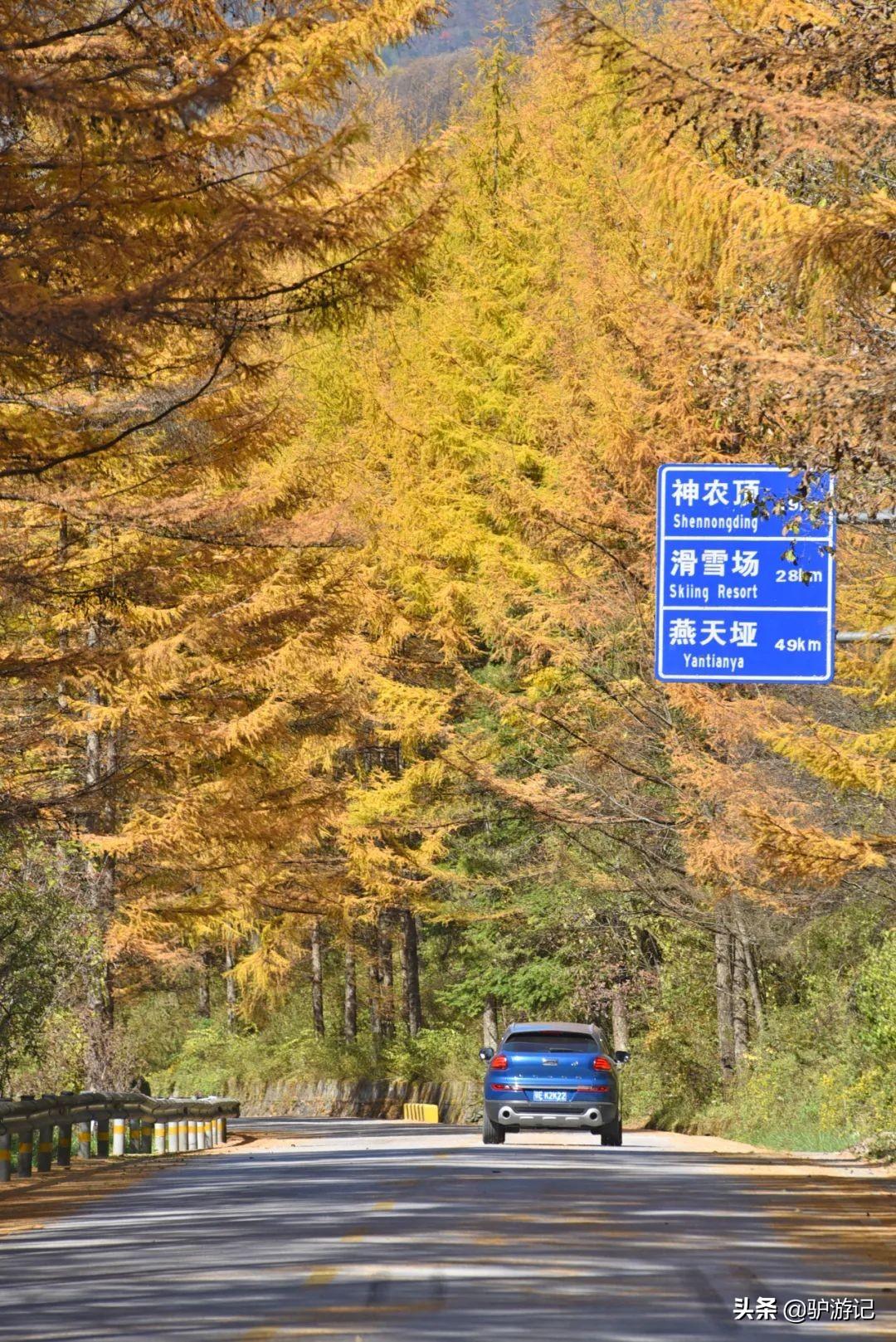 神农架武当山旅游攻略-湖北神农架武当山旅游攻略(图14) 武当山神农架四日游_神农架武当山旅游攻略_湖北神农架武当山旅游攻略