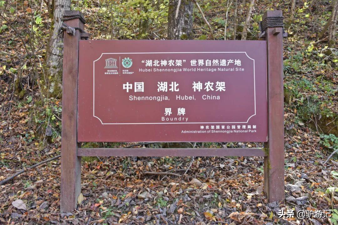 神农架武当山旅游攻略-湖北神农架武当山旅游攻略(图16) 湖北神农架武当山旅游攻略_神农架武当山旅游攻略_武当山神农架四日游