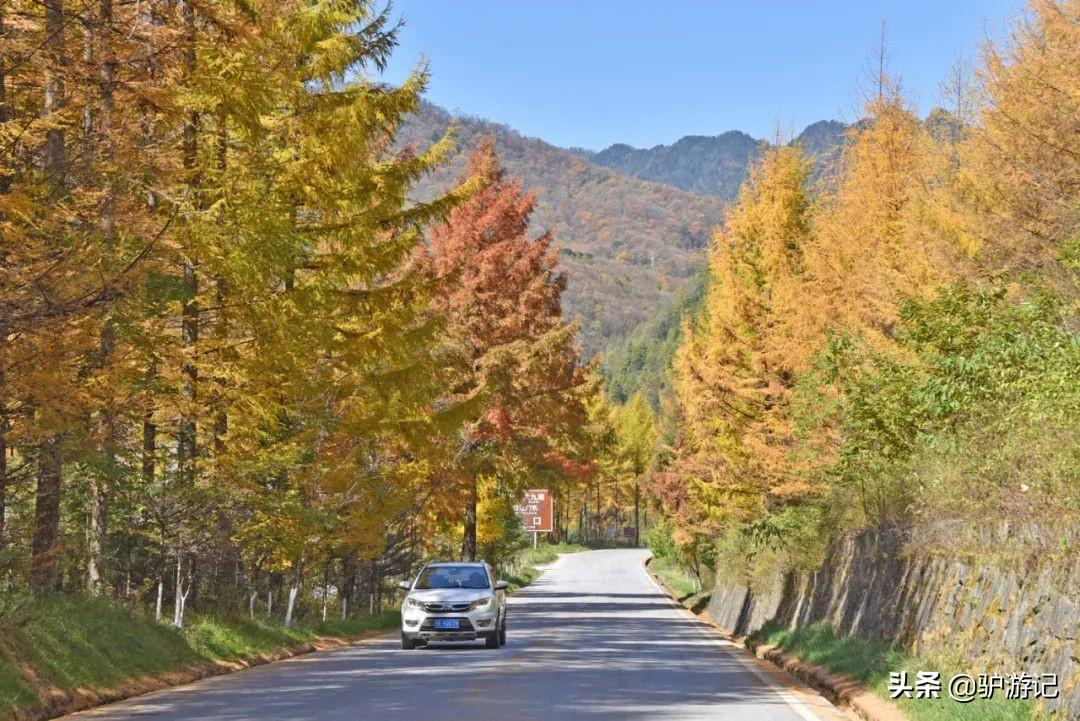 神农架武当山旅游攻略-湖北神农架武当山旅游攻略(图19) 武当山神农架四日游_湖北神农架武当山旅游攻略_神农架武当山旅游攻略