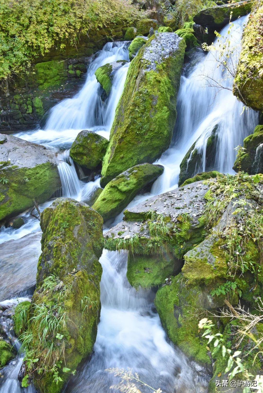 神农架武当山旅游攻略-湖北神农架武当山旅游攻略(图22) 湖北神农架武当山旅游攻略_神农架武当山旅游攻略_武当山神农架四日游