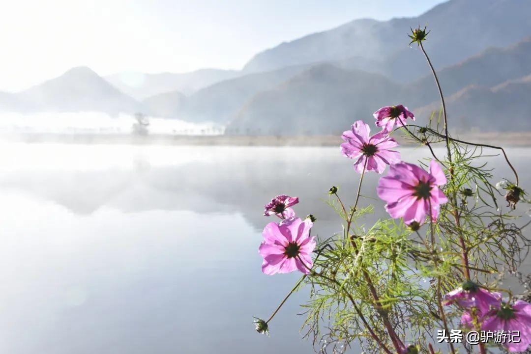 神农架武当山旅游攻略-湖北神农架武当山旅游攻略(图25) 湖北神农架武当山旅游攻略_神农架武当山旅游攻略_武当山神农架四日游