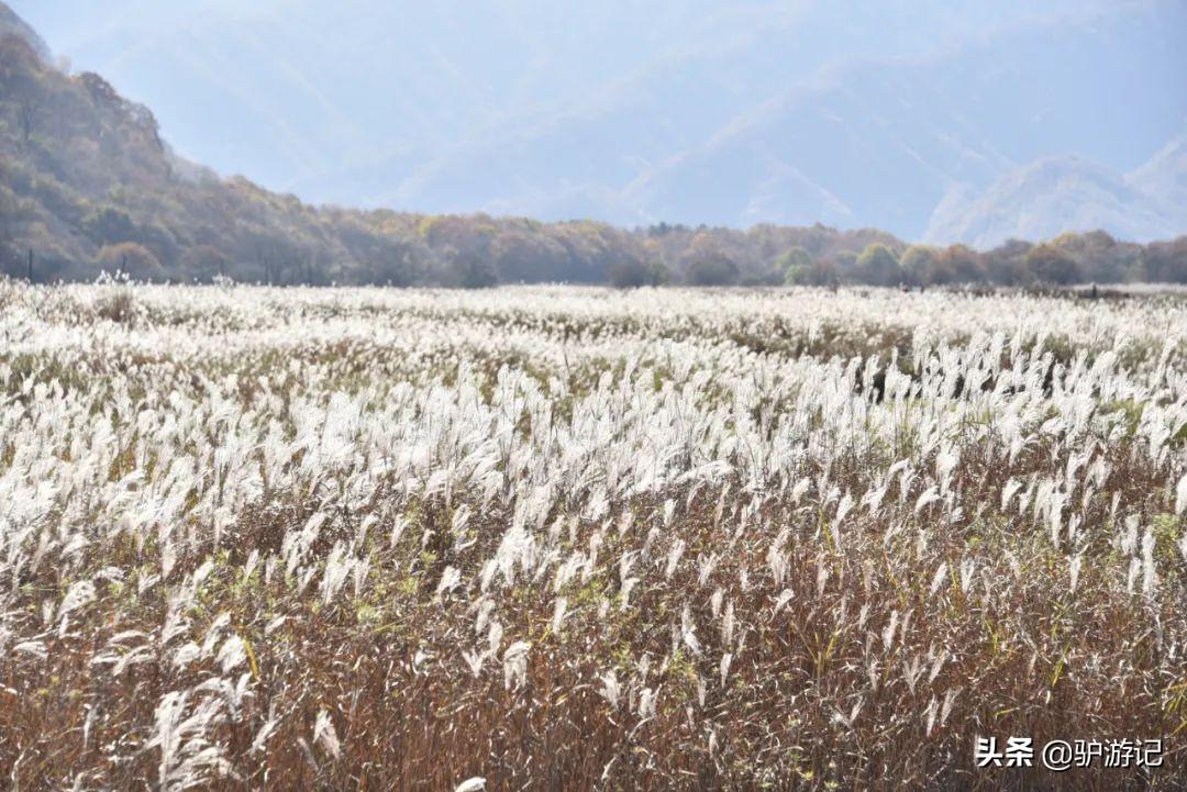 神农架武当山旅游攻略-湖北神农架武当山旅游攻略(图27) 神农架武当山旅游攻略_湖北神农架武当山旅游攻略_武当山神农架四日游