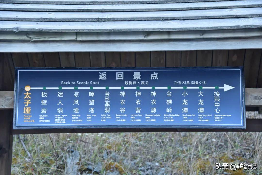 神农架武当山旅游攻略-湖北神农架武当山旅游攻略(图32) 湖北神农架武当山旅游攻略_武当山神农架四日游_神农架武当山旅游攻略