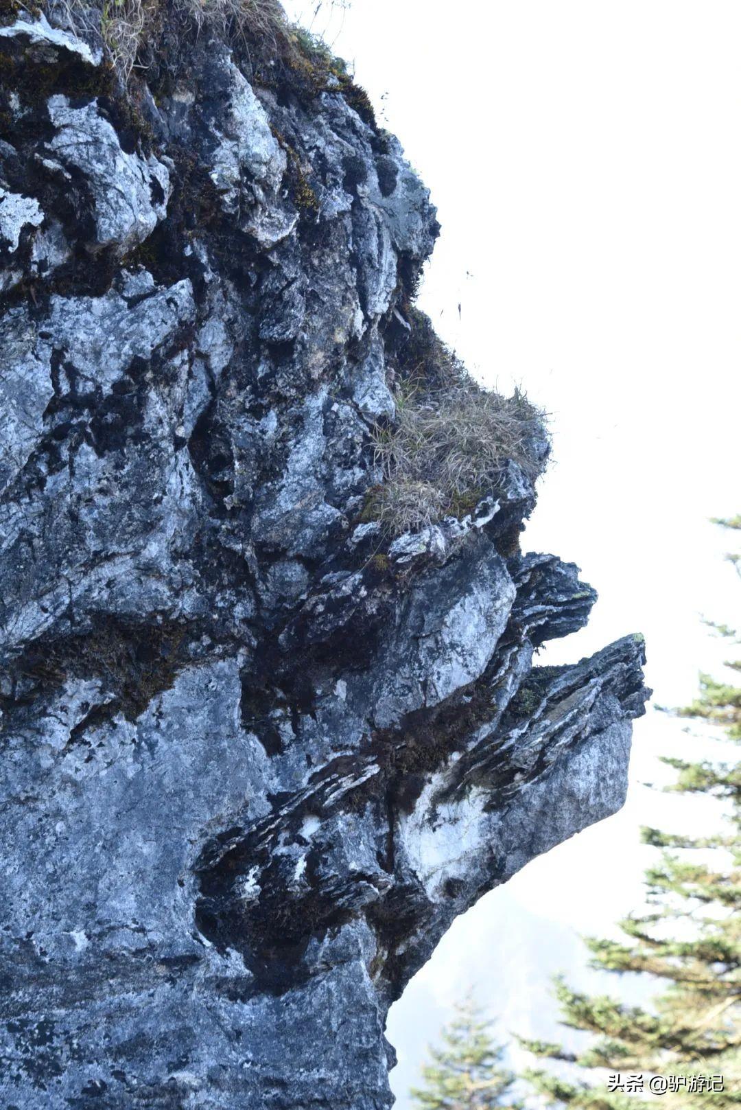 神农架武当山旅游攻略-湖北神农架武当山旅游攻略(图39) 神农架武当山旅游攻略_武当山神农架四日游_湖北神农架武当山旅游攻略