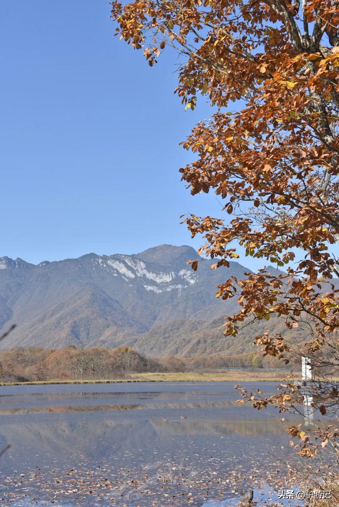 神农架武当山旅游攻略-湖北神农架武当山旅游攻略(图5) 神农架武当山旅游攻略_湖北神农架武当山旅游攻略_武当山神农架四日游