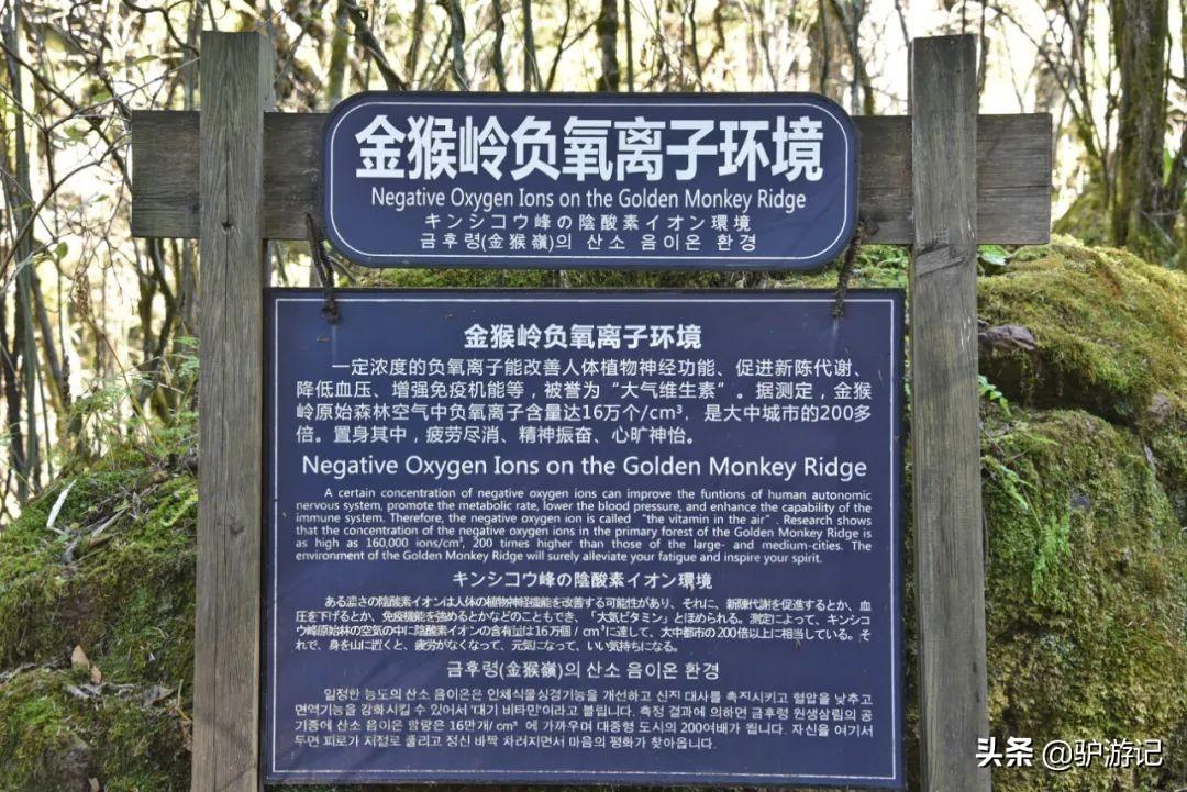 神农架武当山旅游攻略-湖北神农架武当山旅游攻略(图42) 湖北神农架武当山旅游攻略_武当山神农架四日游_神农架武当山旅游攻略