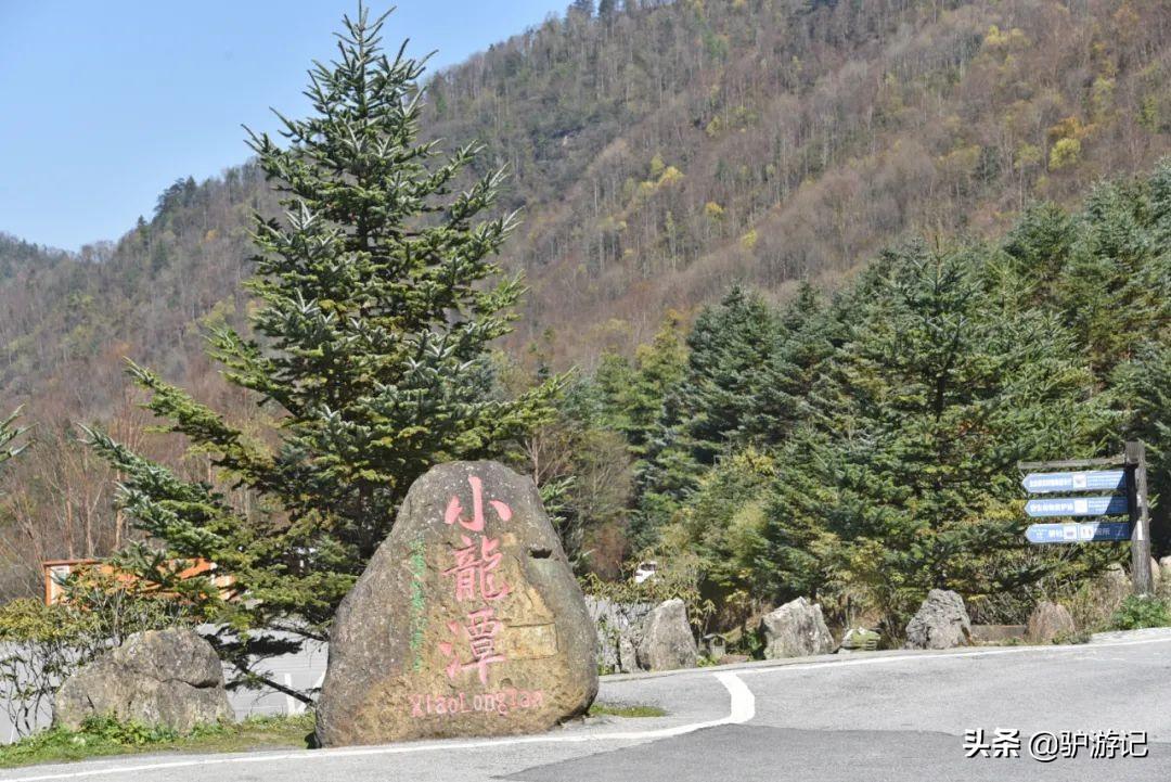 神农架武当山旅游攻略-湖北神农架武当山旅游攻略(图43) 武当山神农架四日游_湖北神农架武当山旅游攻略_神农架武当山旅游攻略