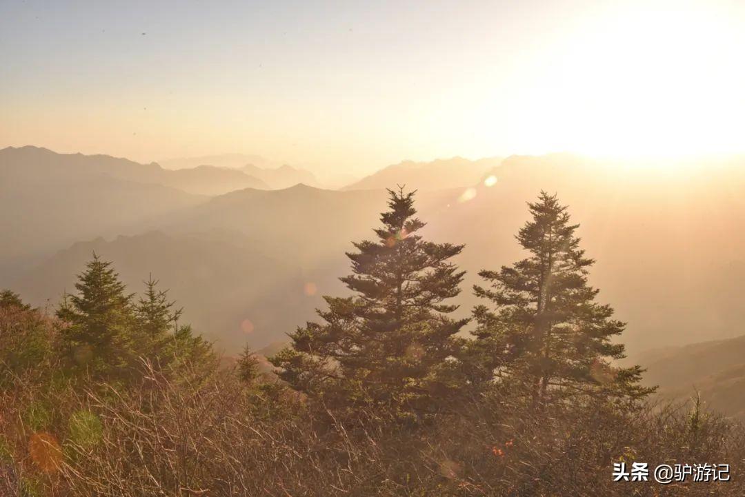 神农架武当山旅游攻略-湖北神农架武当山旅游攻略(图47) 神农架武当山旅游攻略_武当山神农架四日游_湖北神农架武当山旅游攻略