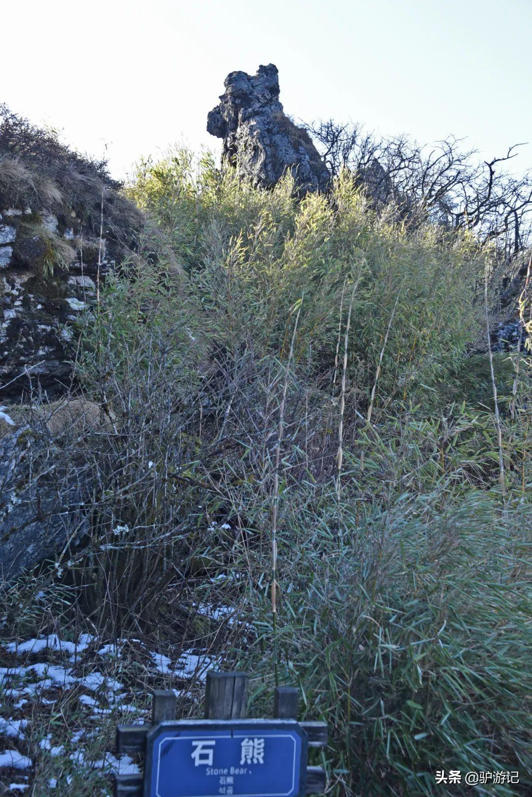 神农架武当山旅游攻略-湖北神农架武当山旅游攻略(图49) 神农架武当山旅游攻略_湖北神农架武当山旅游攻略_武当山神农架四日游