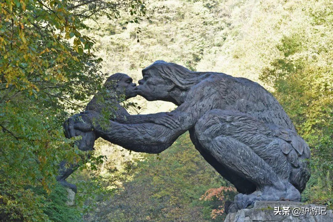 神农架武当山旅游攻略-湖北神农架武当山旅游攻略(图52) 武当山神农架四日游_神农架武当山旅游攻略_湖北神农架武当山旅游攻略