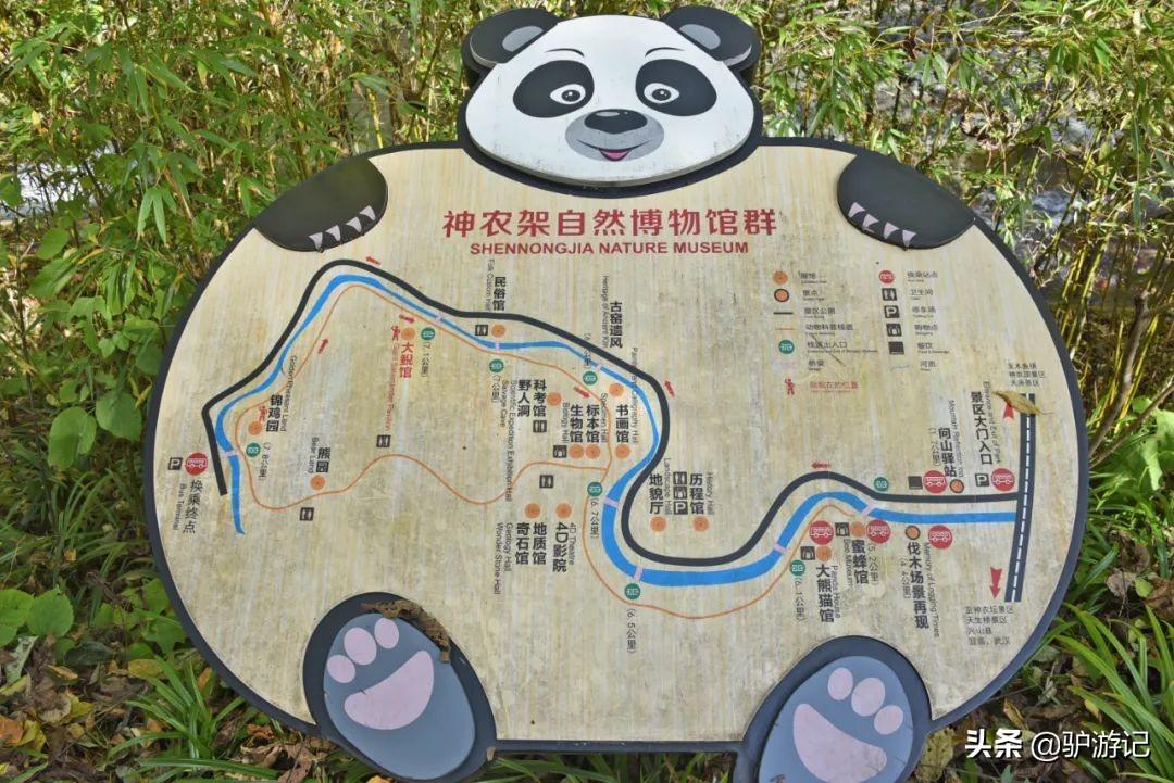 神农架武当山旅游攻略-湖北神农架武当山旅游攻略(图55) 神农架武当山旅游攻略_武当山神农架四日游_湖北神农架武当山旅游攻略