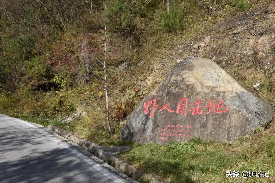 神农架武当山旅游攻略-湖北神农架武当山旅游攻略(图58) 神农架武当山旅游攻略_武当山神农架四日游_湖北神农架武当山旅游攻略