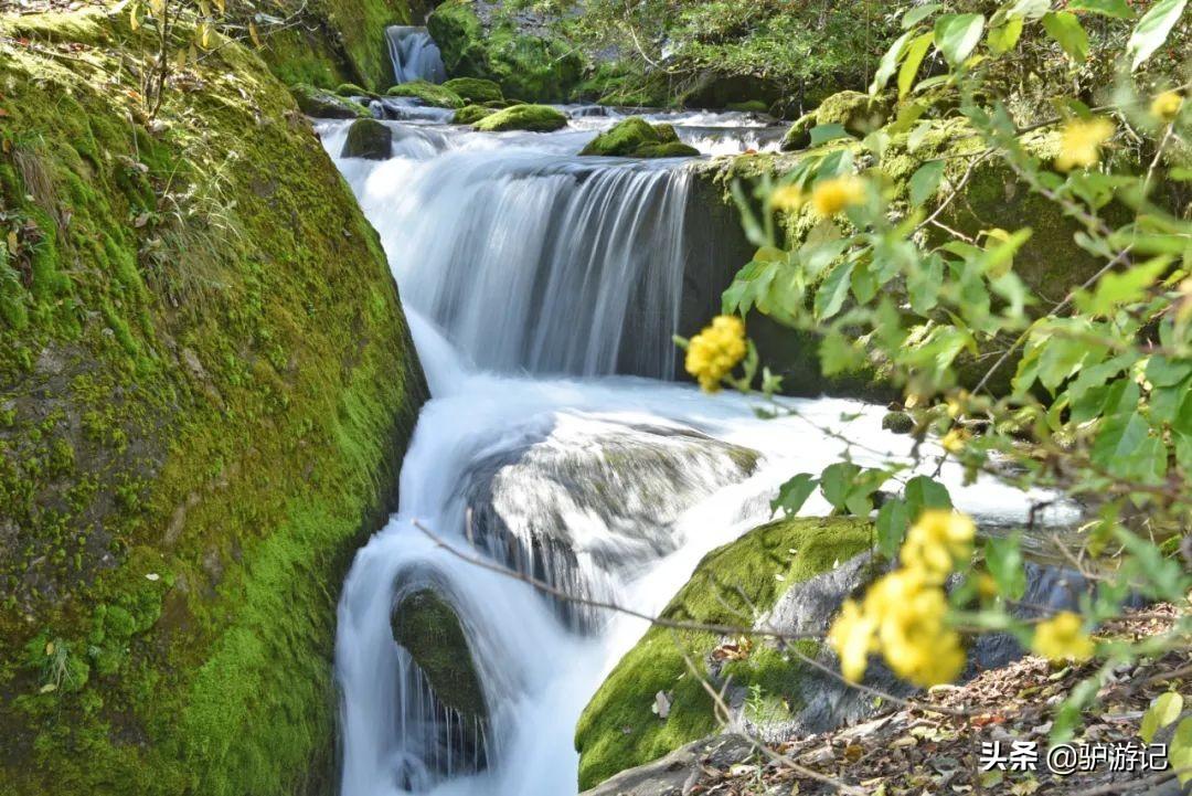 神农架武当山旅游攻略-湖北神农架武当山旅游攻略(图61) 神农架武当山旅游攻略_武当山神农架四日游_湖北神农架武当山旅游攻略