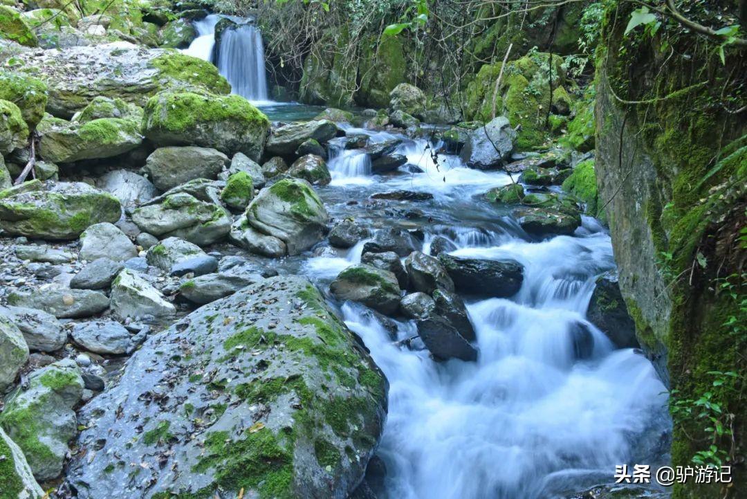 神农架武当山旅游攻略-湖北神农架武当山旅游攻略(图64) 神农架武当山旅游攻略_湖北神农架武当山旅游攻略_武当山神农架四日游