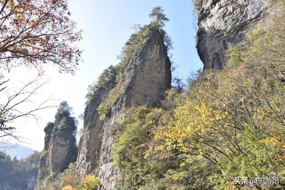 神农架武当山旅游攻略-湖北神农架武当山旅游攻略(图72) 湖北神农架武当山旅游攻略_神农架武当山旅游攻略_武当山神农架四日游