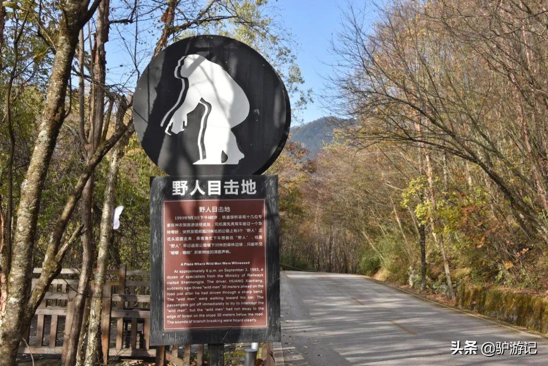 神农架武当山旅游攻略-湖北神农架武当山旅游攻略(图74) 武当山神农架四日游_湖北神农架武当山旅游攻略_神农架武当山旅游攻略