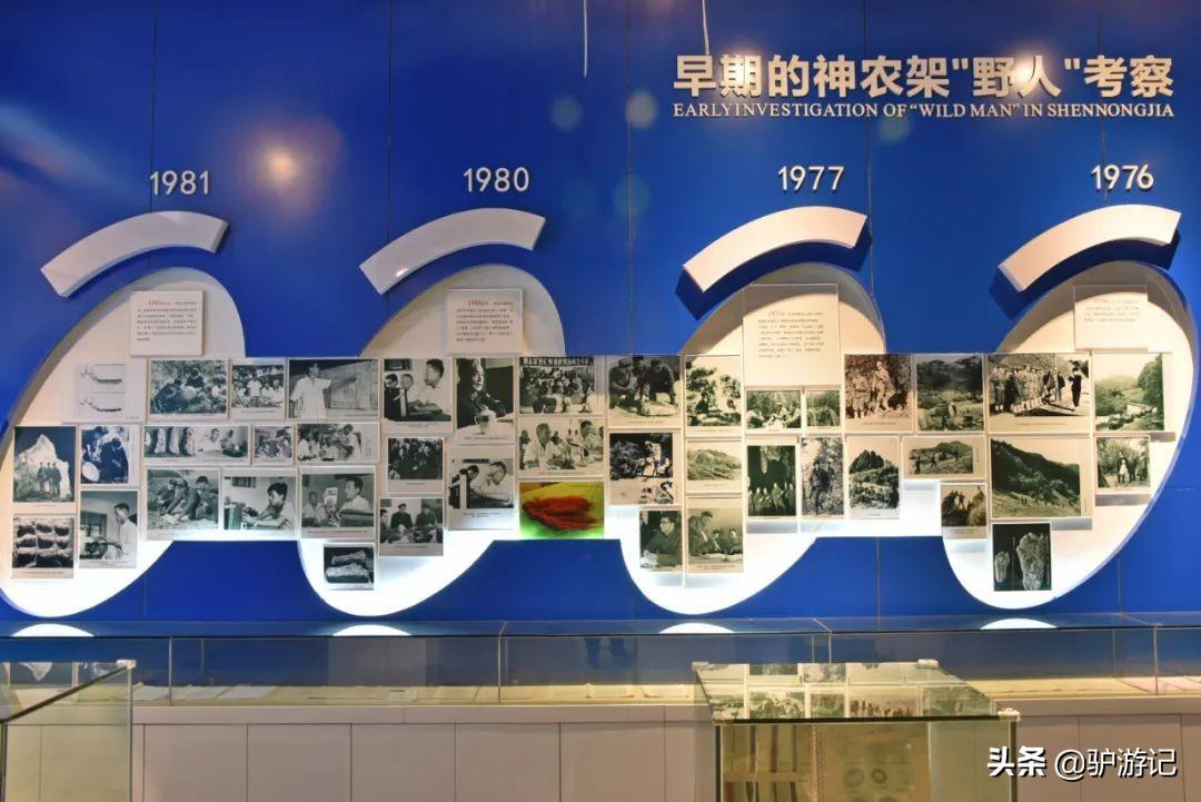 神农架武当山旅游攻略-湖北神农架武当山旅游攻略(图76) 神农架武当山旅游攻略_武当山神农架四日游_湖北神农架武当山旅游攻略