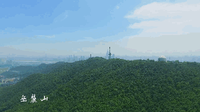 长沙到衡山旅游攻略-长沙攻略衡山旅游到哪里好玩(图21) 长沙攻略衡山旅游到哪里好玩_长沙攻略衡山旅游到哪里_长沙到衡山旅游攻略