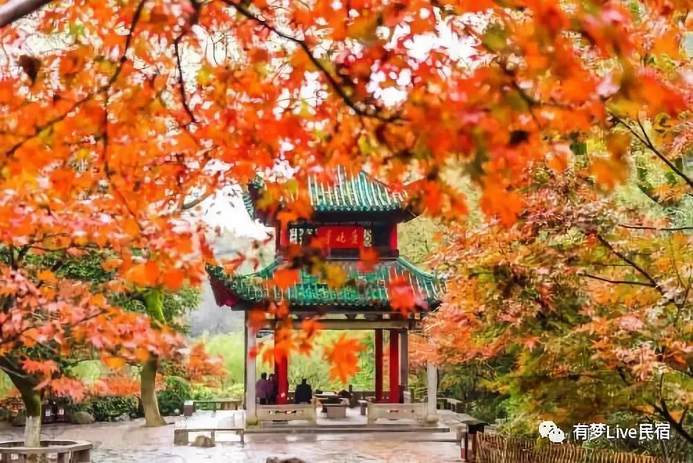 长沙到衡山旅游攻略-长沙攻略衡山旅游到哪里好玩(图22) 长沙攻略衡山旅游到哪里_长沙攻略衡山旅游到哪里好玩_长沙到衡山旅游攻略