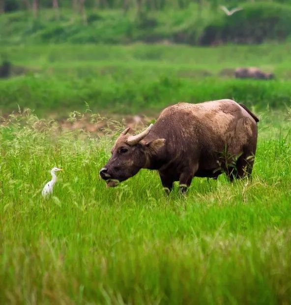 仁寿黑龙滩旅游攻略-仁寿黑龙滩风景图(图2) 仁寿黑龙滩风景图_仁寿黑龙滩旅游攻略_仁寿黑龙滩一日游攻略